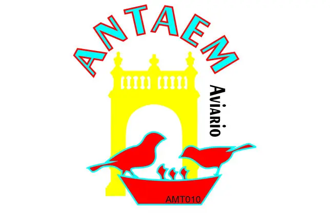 Aviario ANTAEM AOMT